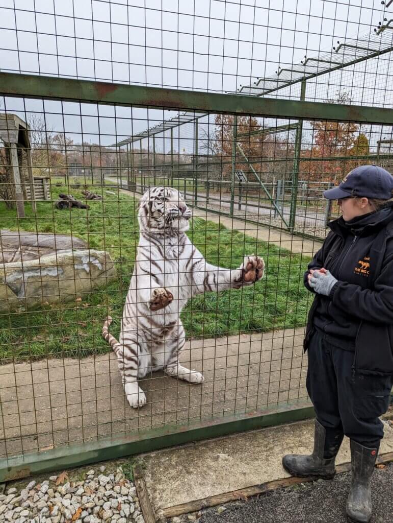 Brain Tumour patient, Laura wins a trip to the Big Cat Sanctuary