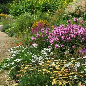 Full flower border with gravelled path