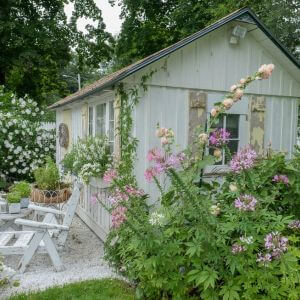 A pretty cottage garden with summerhouse and outdoor seating