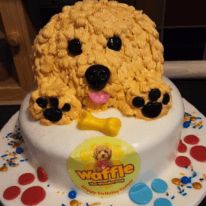 Novelty birthday cake with dog 'Waffle' made of icing on top