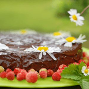 Image shows chocolate cake on an outdoor table surrounded by fresh strawberries and daisies