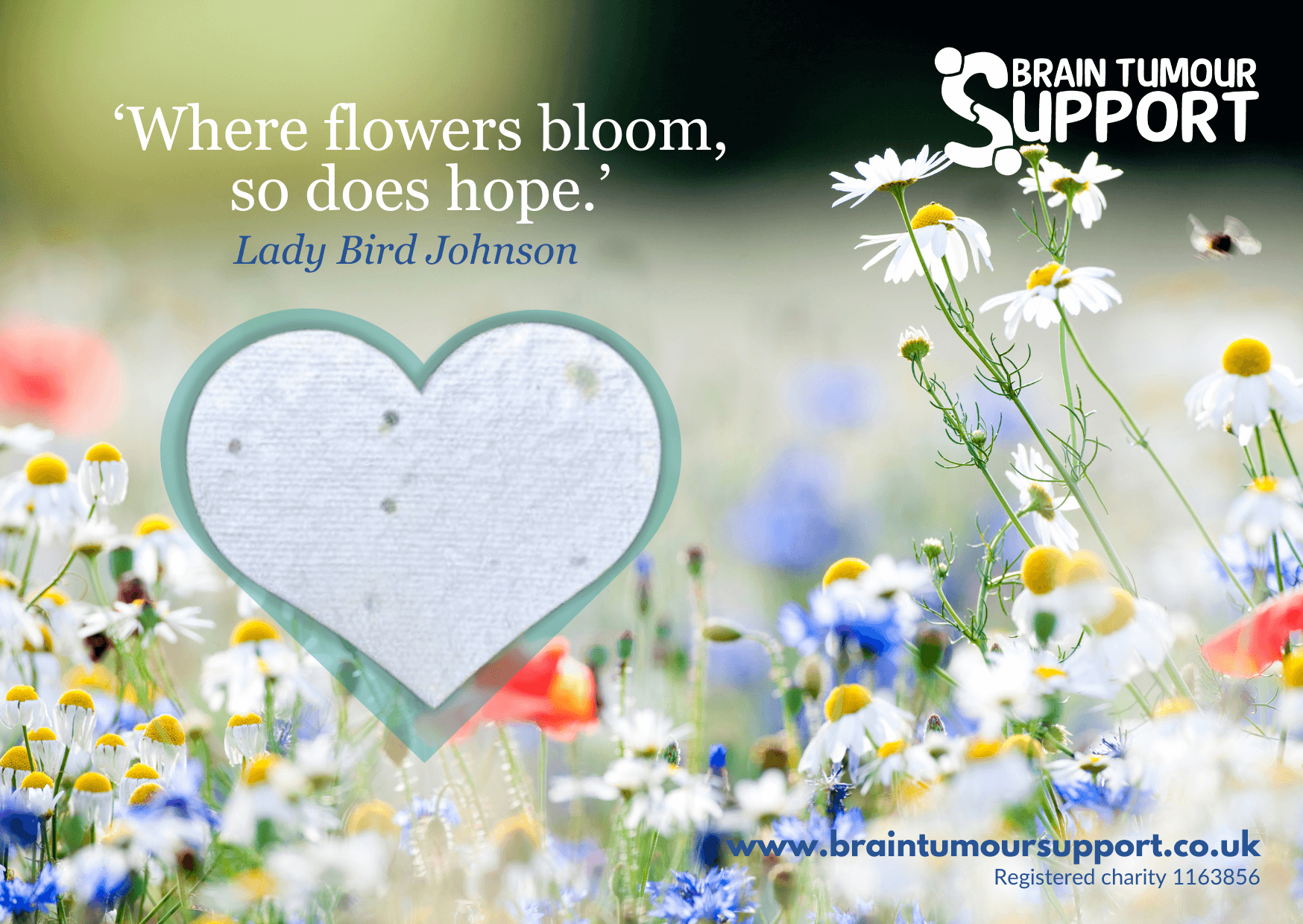 Bloom for Brain Tumour Support wildflower seed heart card