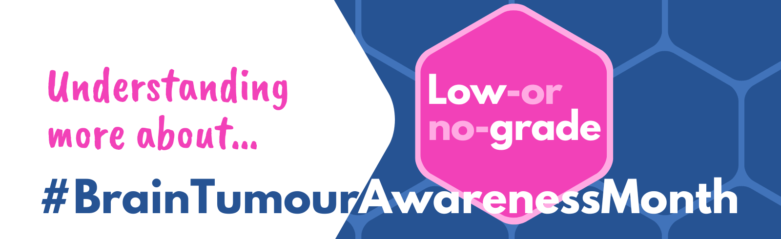 Brain Tumour Awareness Month graphic - understanding more about low- or no-grade brain tumours.